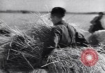 Standbild Die sowjetischen Menschen ernten und Dreschen von Weizen mit Maschinen Ukraine Sowjetunion, 1941, aus Sekunde 61 historischem Filmmaterial Videoclip 65675038615