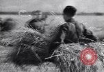 Standbild Die sowjetischen Menschen ernten und Dreschen von Weizen mit Maschinen Ukraine Sowjetunion, 1941, aus Sekunde 62 historischem Filmmaterial Videoclip 65675038615