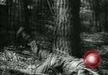 Immagine di Marshall Timoshenko Unione Sovietica, 1941, secondo 35 filmato di repertorio 65675038621
