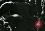 Immagine di Marshall Timoshenko Unione Sovietica, 1941, secondo 38 filmato di repertorio 65675038621