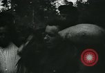 Image Fédération de guérilleros Seconde Guerre Mondiale 'Union soviétique, 1941, de la seconde 28 séquences d'archives historiques vidéo 65675038622
