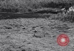 Image of Lieutenant General Richardson Oahu Hawaii USA, 1945, second 38 stock footage video 65675038644
