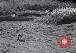 Image of Lieutenant General Richardson Oahu Hawaii USA, 1945, second 41 stock footage video 65675038644