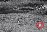 Image of Lieutenant General Richardson Oahu Hawaii USA, 1945, second 42 stock footage video 65675038644
