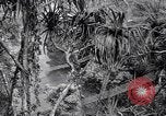 Image of American soldiers Oahu Hawaii USA, 1945, second 7 stock footage video 65675038645