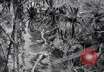 Image of American soldiers Oahu Hawaii USA, 1945, second 10 stock footage video 65675038645
