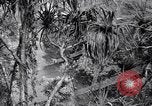 Image of American soldiers Oahu Hawaii USA, 1945, second 11 stock footage video 65675038645