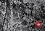 Image of American soldiers Oahu Hawaii USA, 1945, second 16 stock footage video 65675038645