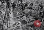 Image of American soldiers Oahu Hawaii USA, 1945, second 24 stock footage video 65675038645