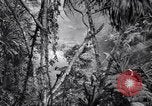 Image of American soldiers Oahu Hawaii USA, 1945, second 34 stock footage video 65675038645