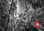 Image of American soldiers Oahu Hawaii USA, 1945, second 35 stock footage video 65675038645