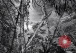 Image of American soldiers Oahu Hawaii USA, 1945, second 36 stock footage video 65675038645