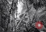 Image of American soldiers Oahu Hawaii USA, 1945, second 37 stock footage video 65675038645
