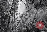 Image of American soldiers Oahu Hawaii USA, 1945, second 38 stock footage video 65675038645