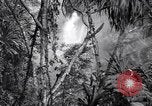 Image of American soldiers Oahu Hawaii USA, 1945, second 40 stock footage video 65675038645