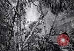 Image of American soldiers Oahu Hawaii USA, 1945, second 41 stock footage video 65675038645