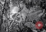 Image of American soldiers Oahu Hawaii USA, 1945, second 42 stock footage video 65675038645