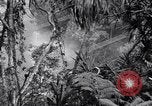 Image of American soldiers Oahu Hawaii USA, 1945, second 43 stock footage video 65675038645