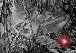 Image of American soldiers Oahu Hawaii USA, 1945, second 44 stock footage video 65675038645
