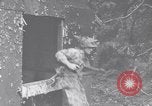Image of Lieutenant General Richardson Oahu Hawaii USA, 1945, second 59 stock footage video 65675038646