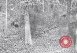 Image of American soldiers Oahu Hawaii USA, 1945, second 1 stock footage video 65675038647