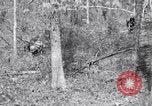 Image of American soldiers Oahu Hawaii USA, 1945, second 3 stock footage video 65675038647