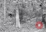 Image of American soldiers Oahu Hawaii USA, 1945, second 4 stock footage video 65675038647