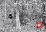 Image of American soldiers Oahu Hawaii USA, 1945, second 5 stock footage video 65675038647