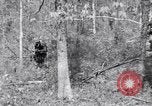 Image of American soldiers Oahu Hawaii USA, 1945, second 6 stock footage video 65675038647