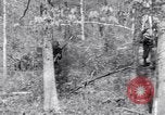 Image of American soldiers Oahu Hawaii USA, 1945, second 7 stock footage video 65675038647