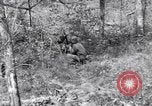 Image of American soldiers Oahu Hawaii USA, 1945, second 13 stock footage video 65675038647