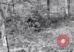 Image of American soldiers Oahu Hawaii USA, 1945, second 14 stock footage video 65675038647