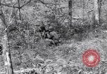 Image of American soldiers Oahu Hawaii USA, 1945, second 15 stock footage video 65675038647