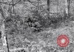 Image of American soldiers Oahu Hawaii USA, 1945, second 16 stock footage video 65675038647