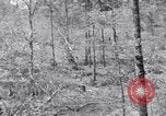Image of American soldiers Oahu Hawaii USA, 1945, second 17 stock footage video 65675038647