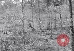 Image of American soldiers Oahu Hawaii USA, 1945, second 18 stock footage video 65675038647