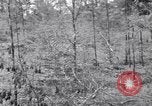 Image of American soldiers Oahu Hawaii USA, 1945, second 19 stock footage video 65675038647