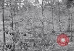 Image of American soldiers Oahu Hawaii USA, 1945, second 20 stock footage video 65675038647