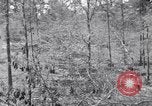 Image of American soldiers Oahu Hawaii USA, 1945, second 21 stock footage video 65675038647