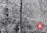 Image of American soldiers Oahu Hawaii USA, 1945, second 24 stock footage video 65675038647