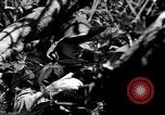 Image of American soldiers Oahu Hawaii USA, 1945, second 27 stock footage video 65675038647