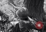 Image of American soldiers Oahu Hawaii USA, 1945, second 36 stock footage video 65675038647