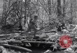 Image of American soldiers Oahu Hawaii USA, 1945, second 43 stock footage video 65675038647
