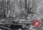 Image of American soldiers Oahu Hawaii USA, 1945, second 45 stock footage video 65675038647
