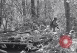 Image of American soldiers Oahu Hawaii USA, 1945, second 46 stock footage video 65675038647