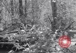 Image of American soldiers Oahu Hawaii USA, 1945, second 47 stock footage video 65675038647