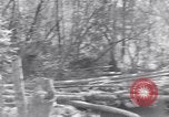 Image of American soldiers Oahu Hawaii USA, 1945, second 48 stock footage video 65675038647
