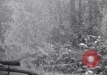 Image of American soldiers Oahu Hawaii USA, 1945, second 51 stock footage video 65675038647