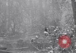 Image of American soldiers Oahu Hawaii USA, 1945, second 52 stock footage video 65675038647