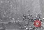 Image of American soldiers Oahu Hawaii USA, 1945, second 54 stock footage video 65675038647